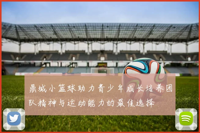 鼎城小篮球助力青少年成长培养团队精神与运动能力的最佳选择