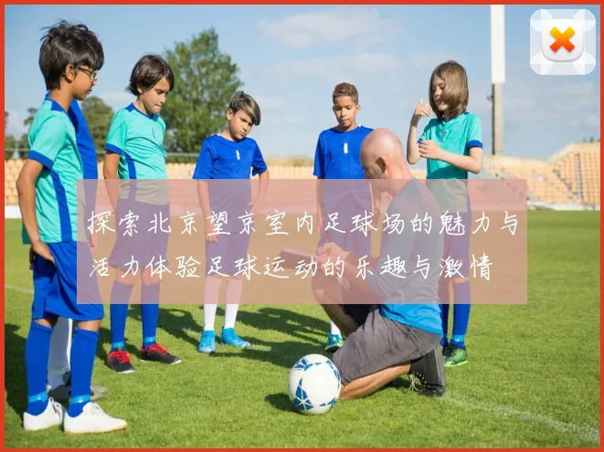 探索北京望京室内足球场的魅力与活力体验足球运动的乐趣与激情