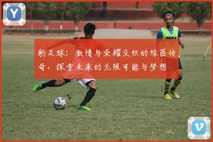 豹足球：激情与荣耀交织的绿茵传奇，探索未来的无限可能与梦想