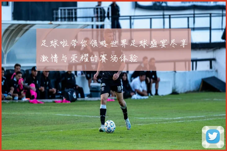足球啦带你领略世界足球盛宴尽享激情与荣耀的赛场体验